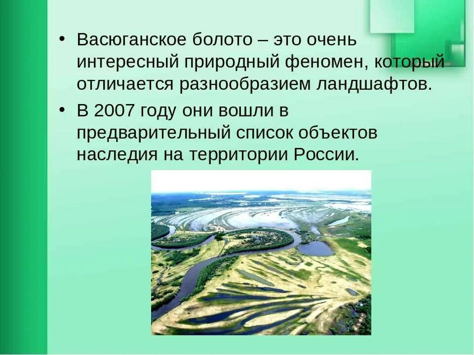 Более 10 территории россии занимают болота можно. Западно Сибирская равнина Васюганское болото. Васюганский заповедник Томской области. Томск Васюганское болото. Презентация на тему Васюганское болото.