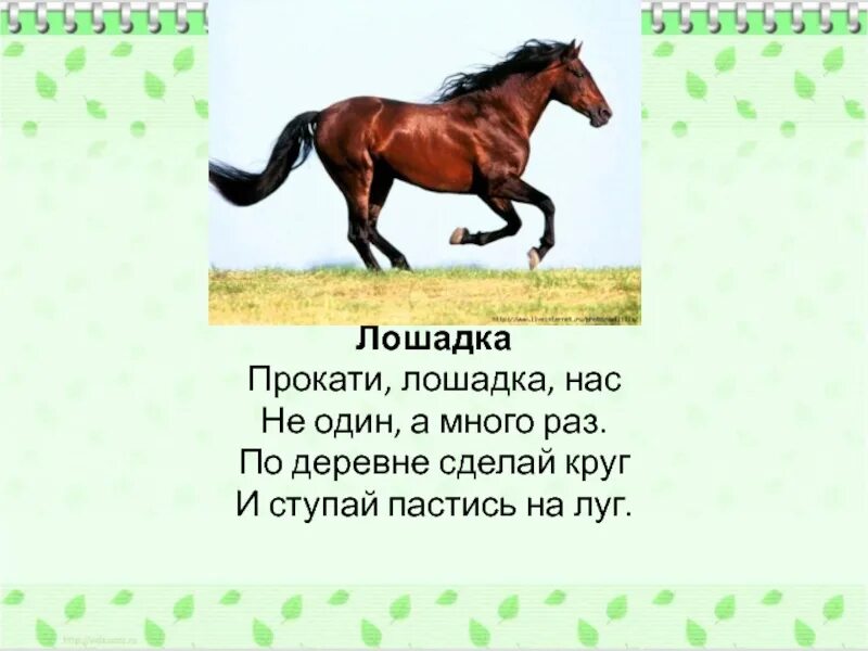 Прокати лошадка нас. Стихотворение Прокати лошадка. Проект Прокати, лошадка нас. И ступай пастись на луг!.