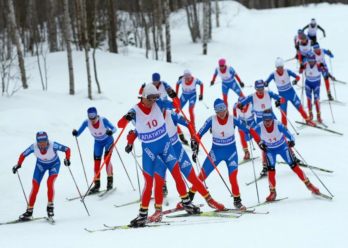 Современный лыжный спорт лыжного спорта. Лыжные гонки. Спорт лыжные гонки. Лыжники России. Гонки на лыжах.