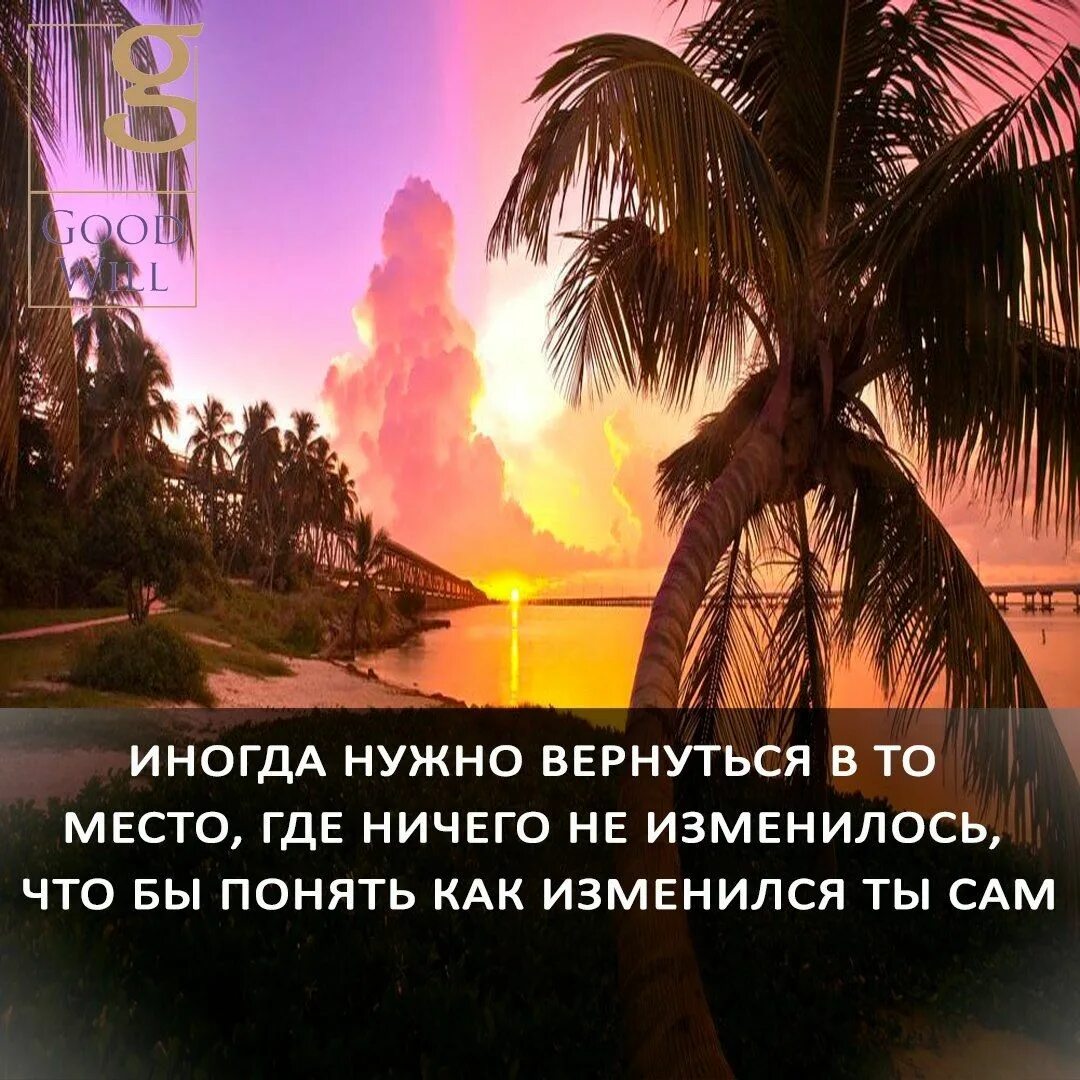 Место где ничего не растет. Как изменился ты сам. Чтобы понять как изменился ты сам. Иногда нужно. Хорошо вернуться туда где ничего не изменилось.