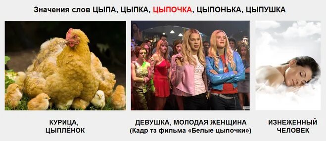 изнеженный человек 7 букв. изнеженный человек 7 букв. безукоризненный это. массовая мода. сибарит что это простыми словами.