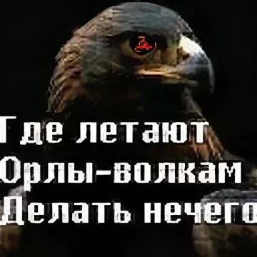 Там где летали