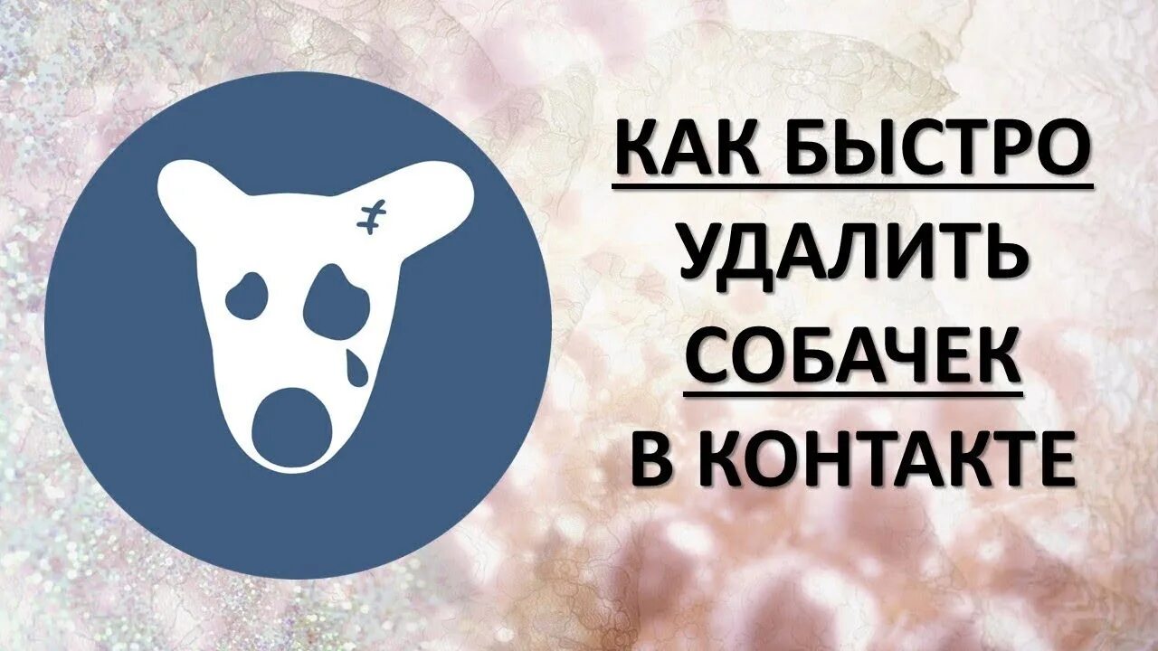 В императорском саду живет собака вк. Собака ВКОНТАКТЕ. Собака ВКОНТАКТЕ удаленная. Собачка ВК удаленной страницы. Собачки в группе ВКОНТАКТЕ.