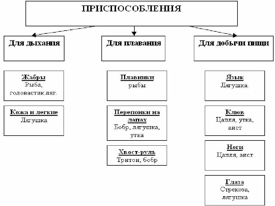 Приспособление животных к среде обитания примеры таблица. Приспособления животных к среде обитания таблица. Виды приспособлений организмов к среде обитания. Приспособленность организмов к среде обитания схема.