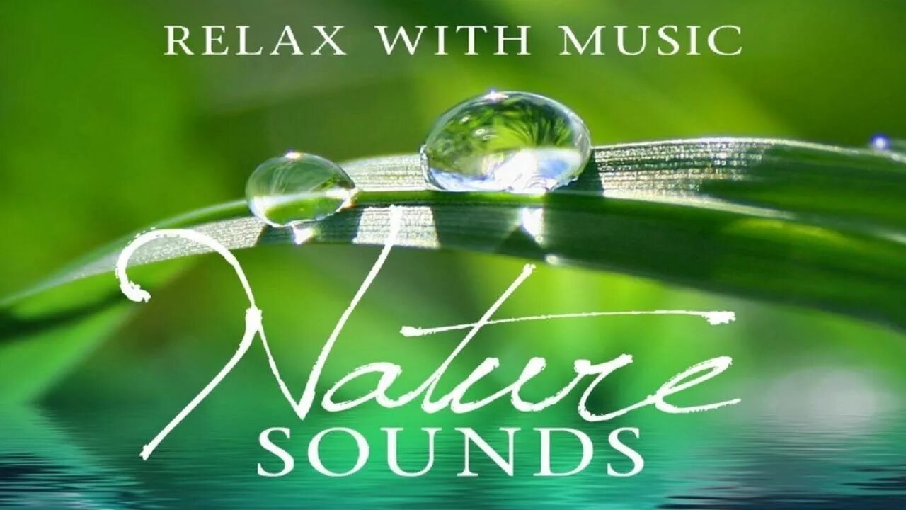 Релаксирующая музыка лучшее. Успокаивающая классика. Nature музыка. Релакс цветы. Классическая музыка для релаксации.