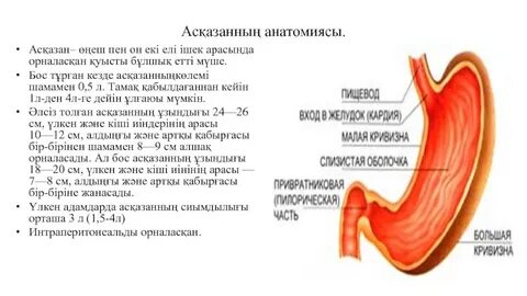 жалаңаш орыс ерлердің сиқы