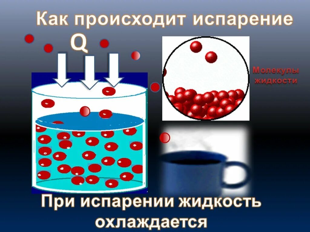 Какая наука изучает испарение воды. Испарение жидкости. Испарение вещества. Испарение и конденсация жидкости. Испарение физика.