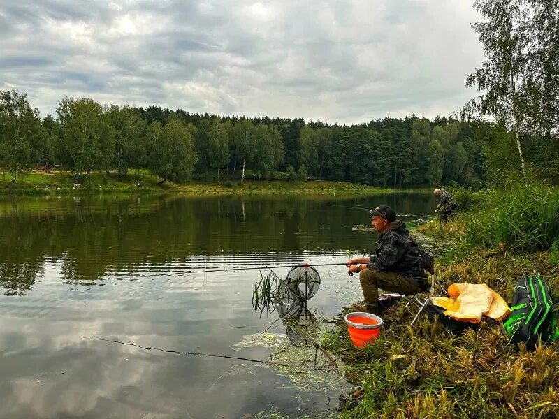 митяевские пруды рыбалка. рыбалка балабаново. посейдон рыбалка балабаново. шагаровский пруд белгород рыбалка. платная рыбалка посейдон.