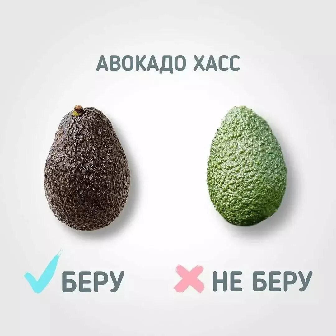 как выбрать спелый авокадо. как правильно выбрать авокадо спелый. степень зрелости авокадо хасс. как правильно выбрать авокадо спелый. как выбирать авокадо при покупке правильно.