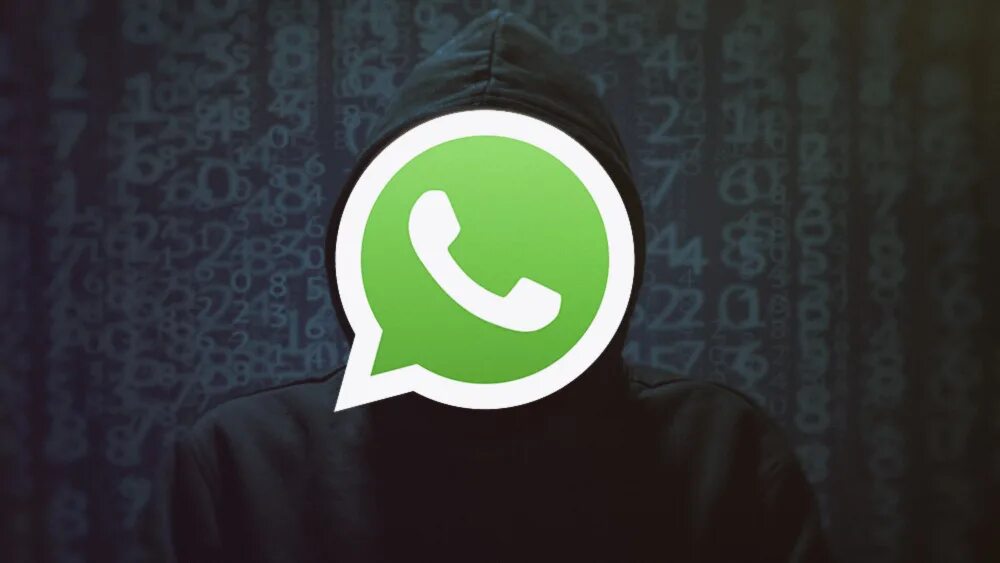 Поставь заставку ватсапа. Ватсап. Картинки для профиля WHATSAPP. Серьезный аватар на ватсап. Бизнес аватарки для ватсапа.