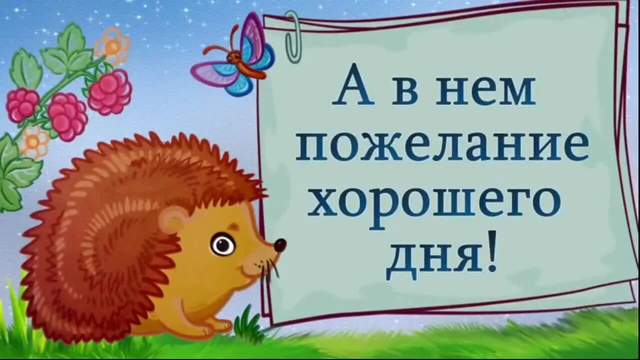 Лови любой