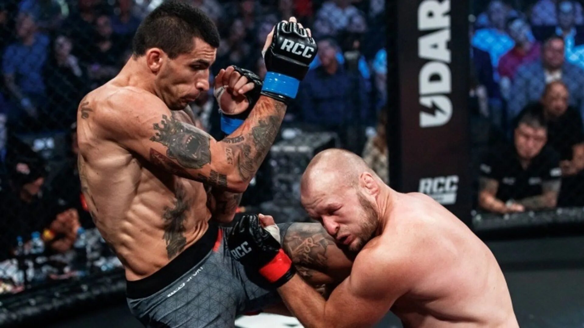 Боец александр шлеменко. Александр шлеменко фото. Боец александр шлеменко. Боец мма александр шлеменко. Шлеменко боец мма.