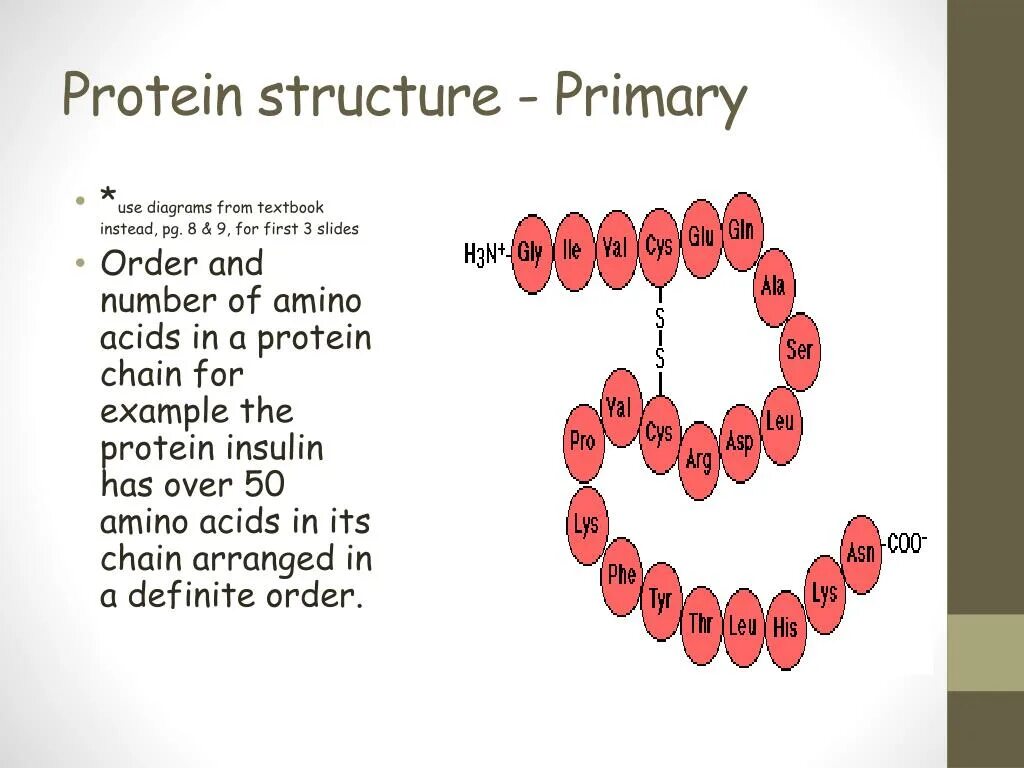 What is the primary use. Primary structure of protein. primary structure белка. primary structure in protein. insulin amino acid sequence.