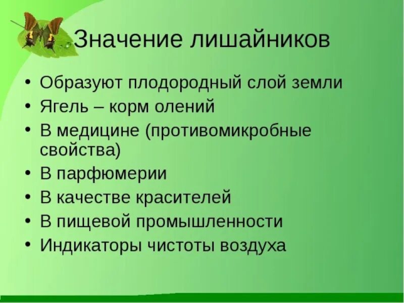Биология п 19. Значение лишайников. значение лишайников 5 класс. значение лишайников в природе. значение лишайников 5 класс биология.