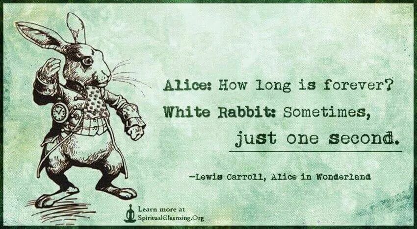 The second one s. Льюис Кэрролл Алиса в стране чудес фразы. Lewis Carroll Alice in Wonderland quotes. Алиса в стране чудес кролик цитаты. Белый кролик Алиса в стране чудес.
