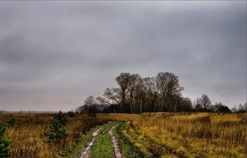 Поздняя осень пасмурно
