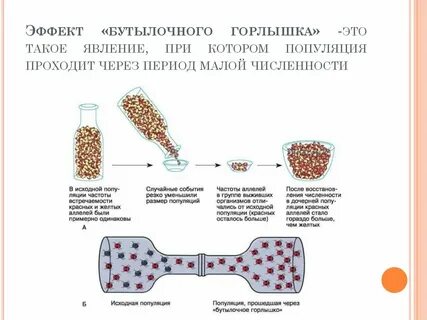Изменение генов называется