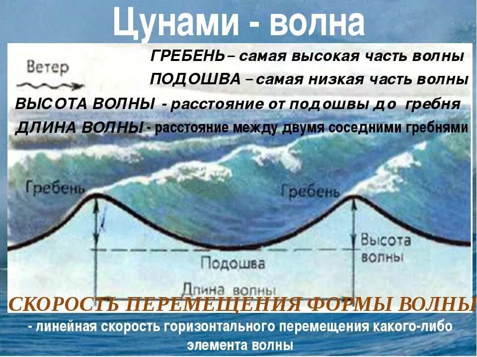 Высота волны ЦУНАМИ. Скорость волны ЦУНАМИ. Длина волны ЦУНАМИ. Характеристика волн ЦУНАМИ.