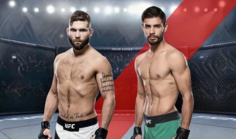 Ufc 22