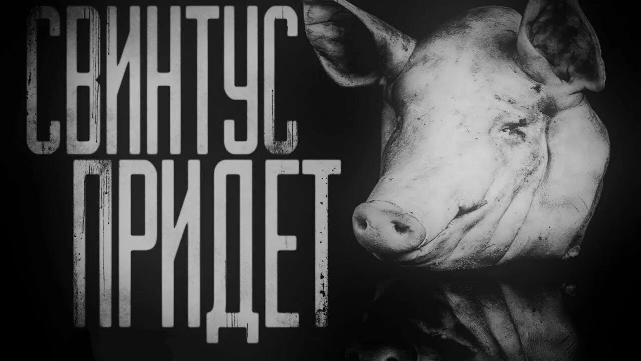 Свинтус кот бегемот. Свинтус придёт страшилка. страшные истории свинтус. страшные истории свинтус придет.