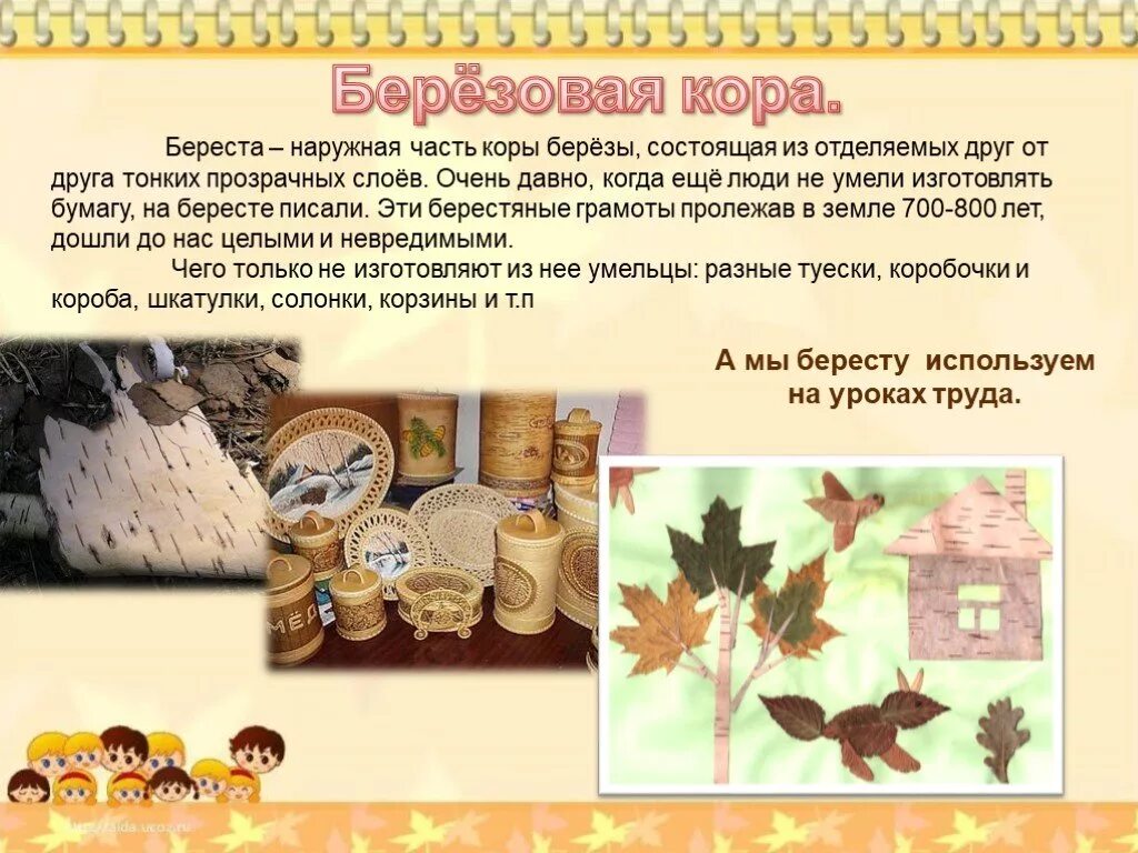 Береста из какого дерева делают. Характеристика бересты. свойства бересты. что делают из коры березы.