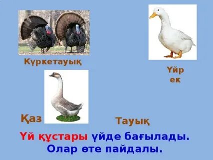 Ұйқыдағы қайын енесі порно