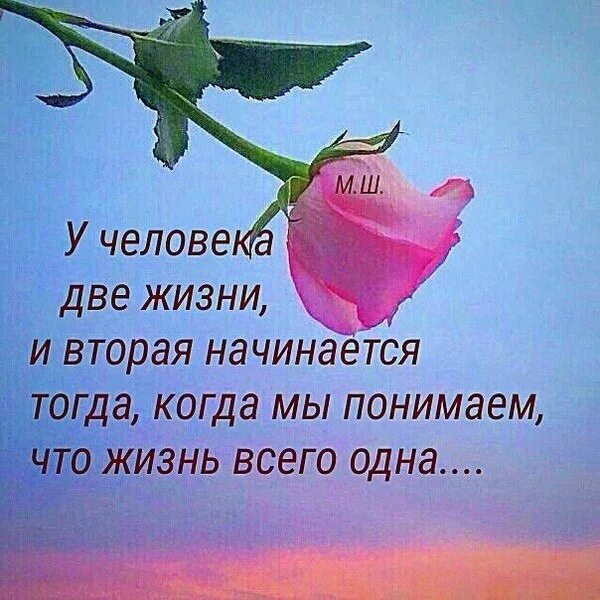 Qisqa sherlar