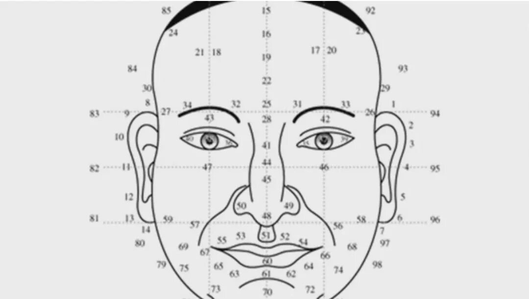 Под лицо что означает. Китайская физиогномика. Физиогномика схема лица. Цифры на лице физиогномика. Схема родинок на лице.