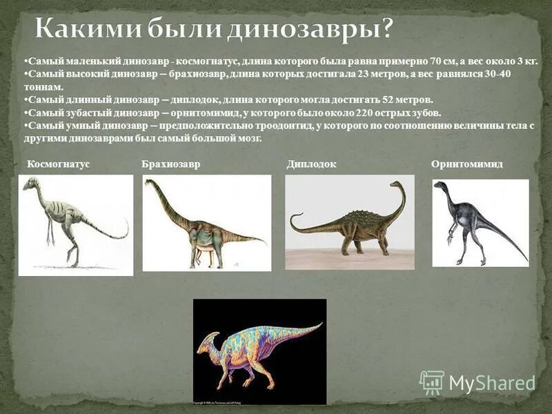 Как назывались маленькие динозавры