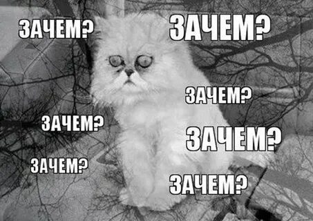 Выключи родители