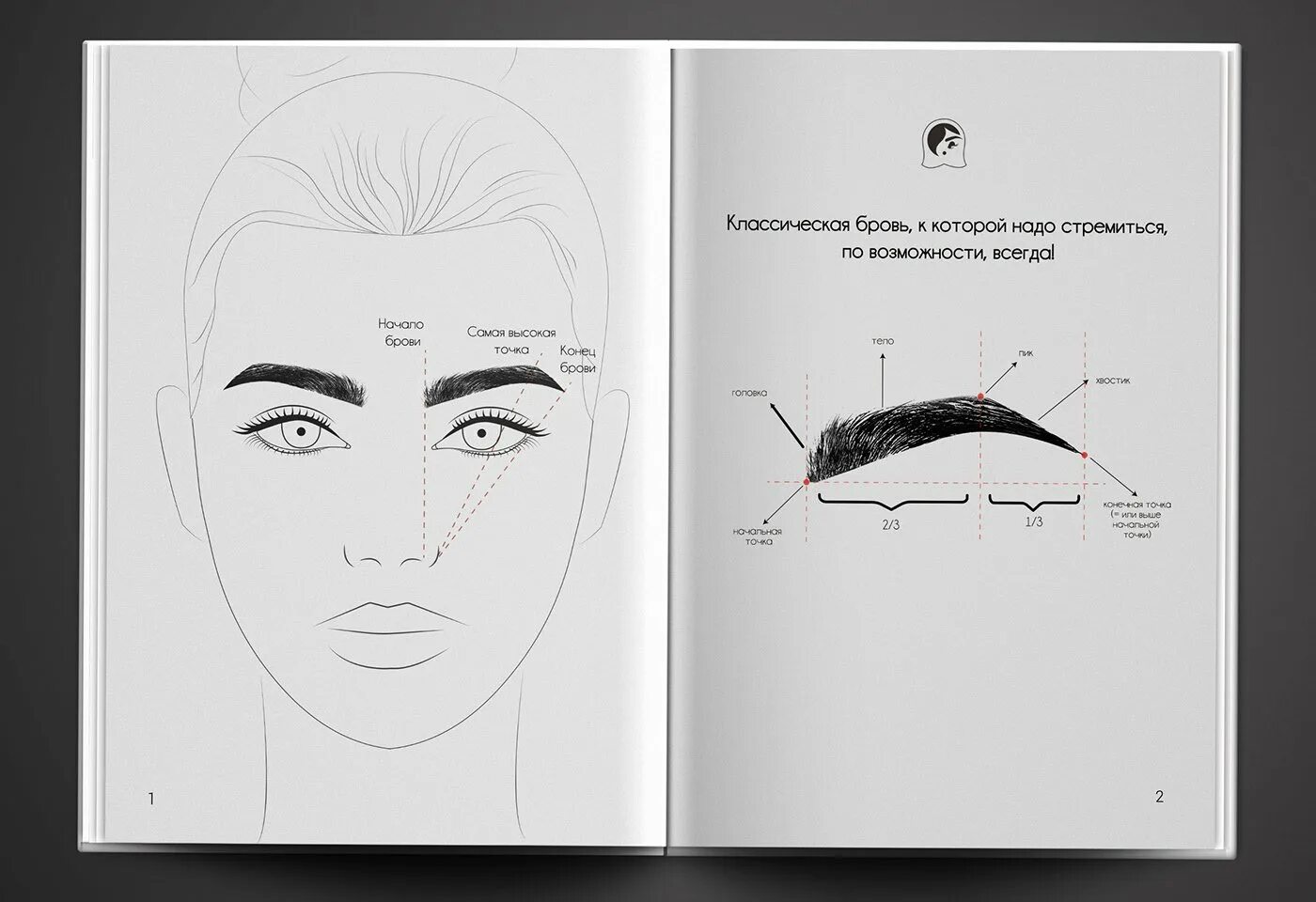 Методичка бровиста. Методичка архитектура бровей. Эскиз бровей. Схема эскиза бровей. План бровиста