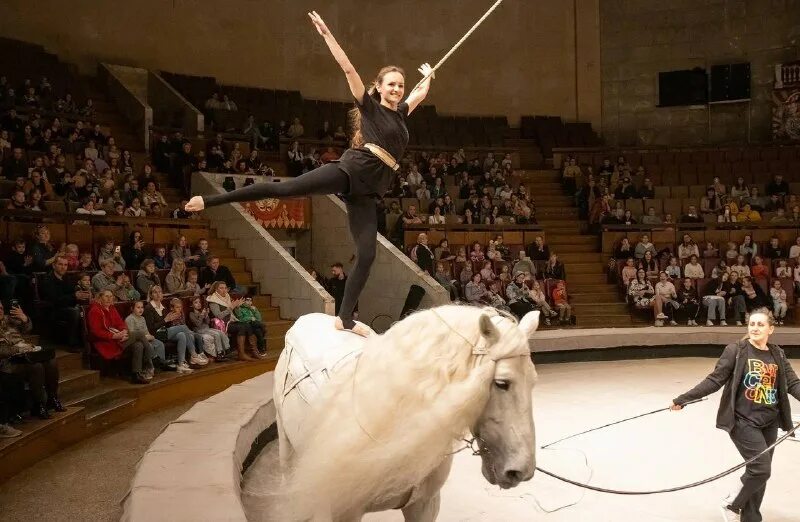 цирк воронеж. цирк воронеж зал. циркус воронеж ру. цирк воронеж сколько идет представление. воронежский цирк зал.