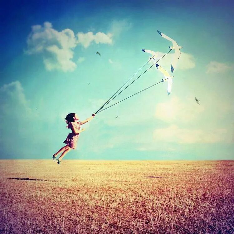 летать переставать. человек улетает. человек на крыле самолета. летать переставать. летать переставать.