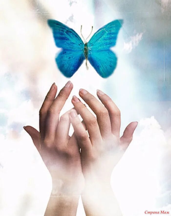 Мы чередуем счастье и несчастье. Бабочка на ладони. На руку бабочка. Бабочка душа. Отпустить бабочку.
