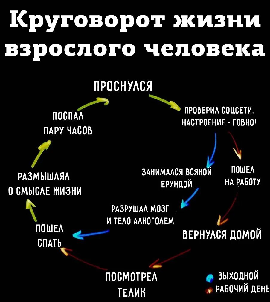 Циклы жизни по дате рождения. Цикл жизни. круговорот людей. круговорот настроения. бесконечный жизненный цикл.