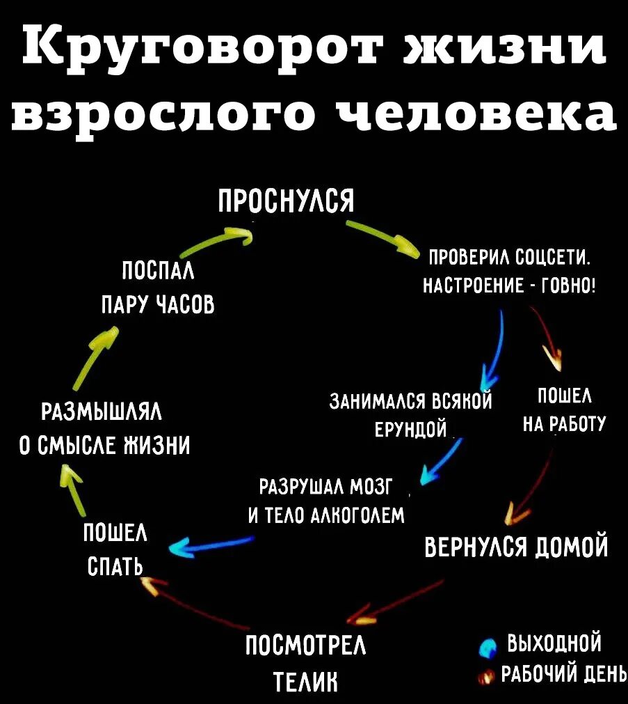 Цикл жизни. Круговорот человеческой жизни. Жизненный цикл человека. Круговорот работы настроение. Круговорот жизни человека