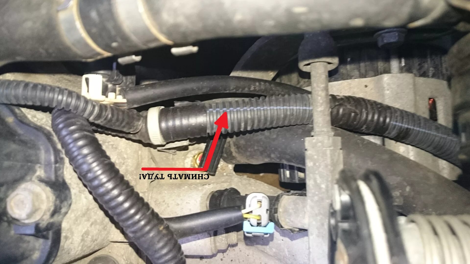 Removal and installation of the gauge of the gauge of temperature of a cooling l
