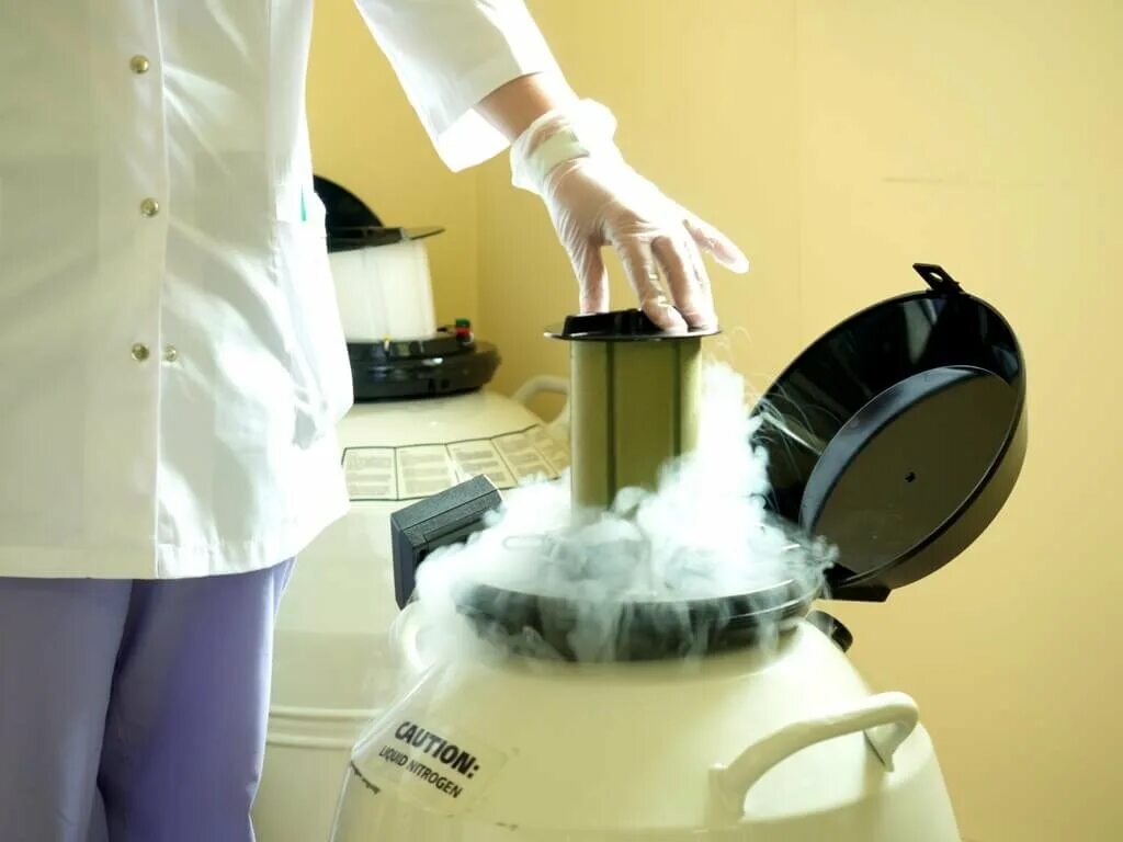 Криоконсервация клеток. Витрификация эмбрионов. Криоконсервация биологического материала. Криоконсервация это. Криоконсервация эмбрионов.