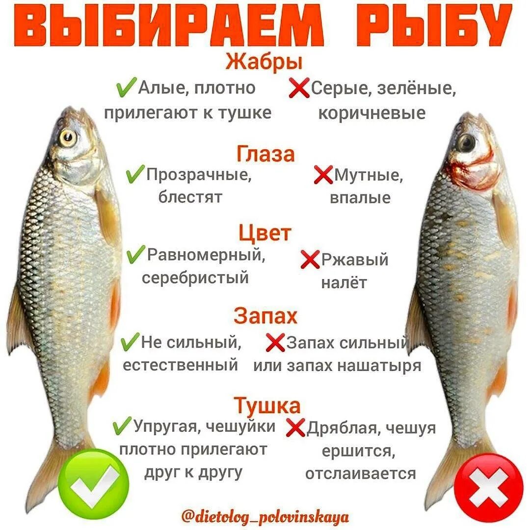Как узнать есть ли рыба