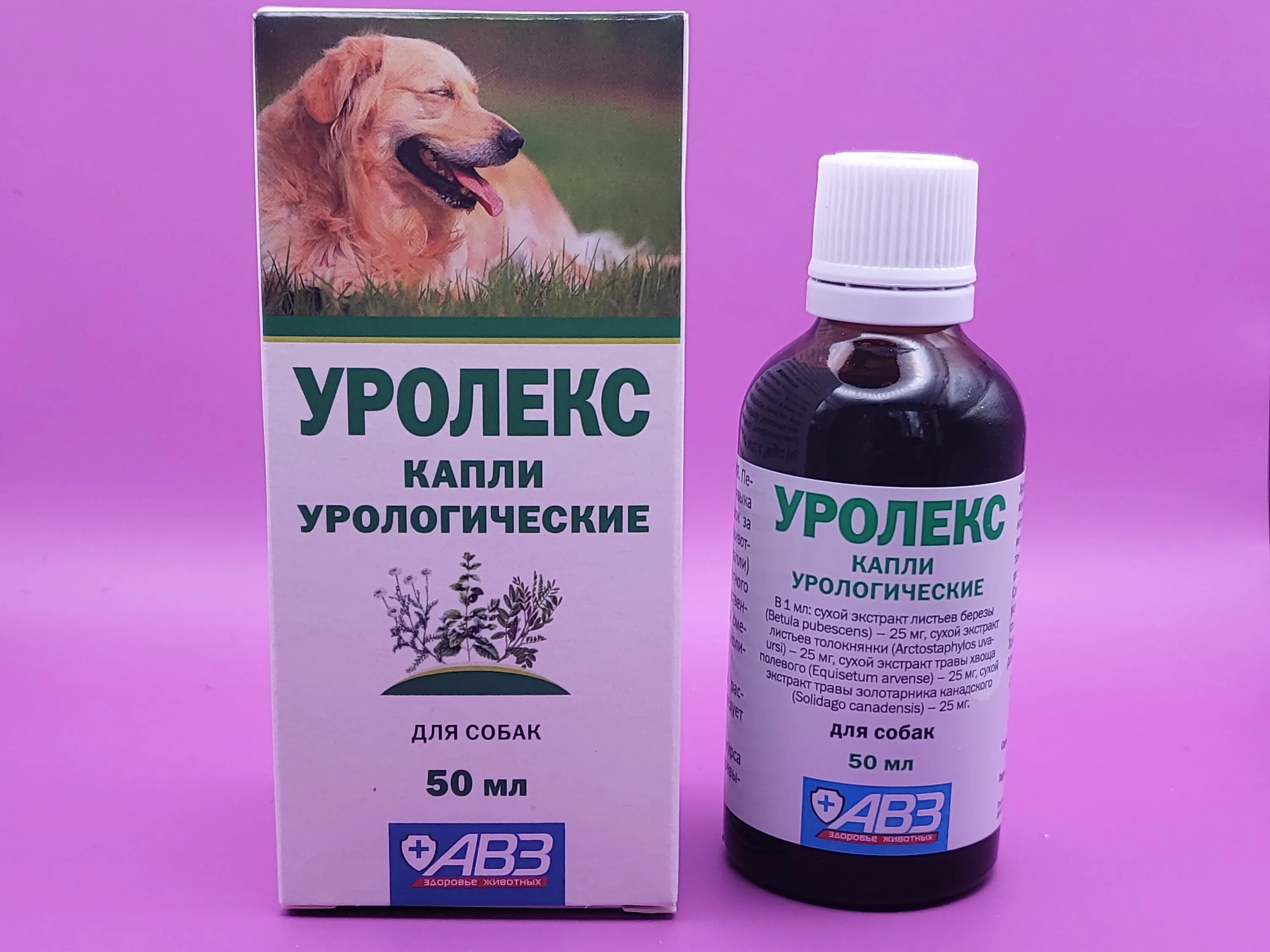 Уролекс для собак. Капли Агроветзащита уролекс, 50 мл. Уролекс для кошек и собак. Урологические капли для кошек. Уролекс капли для кошек.