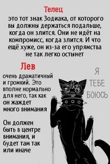 Самые опасные знаки зодиака в гневе