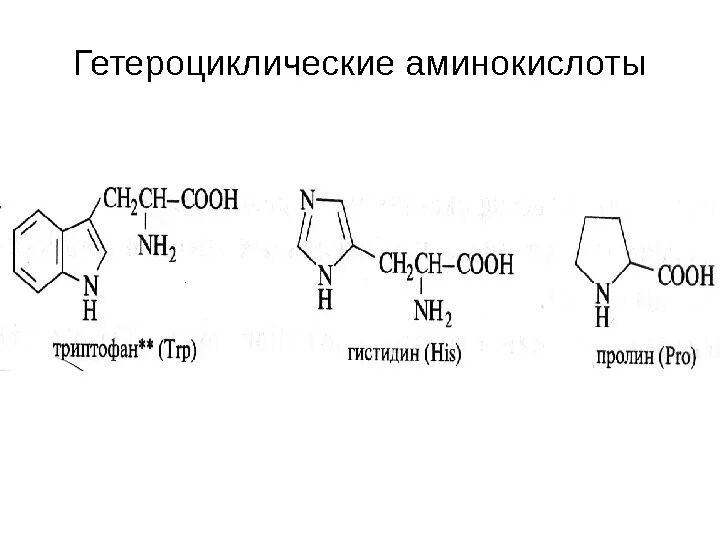 Медиатор аллергических реакций гистидин содержит гетероцикл. Гетероциклические аминокислоты. ароматические гетероциклисекие аминоки. триптофан гетероциклическая аминокислота.
