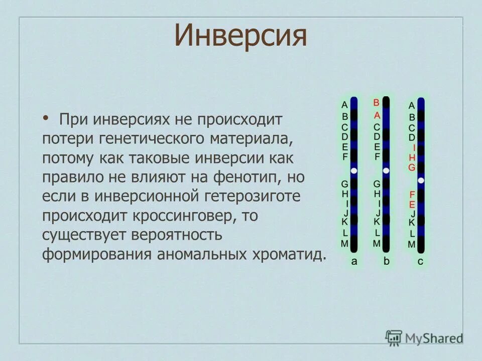 С изменением структуры хромосом связаны