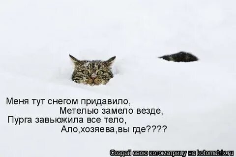 Тут снега