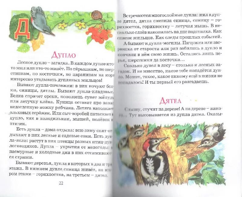 Н Сладков Азбука леса. Книги Сладкова Азбука леса. Рассказы сладкова о природе