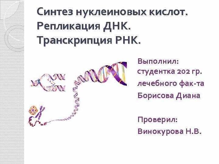 Рнк репликация транскрипция трансляция. Репликация днк рибонуклеиновой кислоты. синтез нуклеиновых кислот. репликация днк.. синтез нуклеиновых кислот репликация и. синтез нуклеиновых кислот репликация и транскрипция.