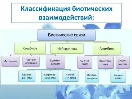 Тип взаимодействия характеристика примеры таблица по биологии. Тип взаимодействия характеристика примеры таблица по биологии