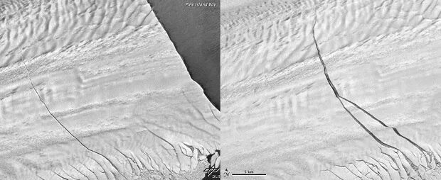 Трещина длина. Трещины ледников Антарктиды. Трещина в Антарктиде. Ледниковая трещина. Антарктида провалился в трещину.