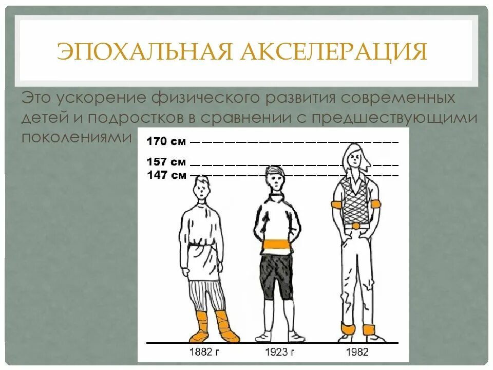 Акселерация картинки. Эпохальная акселерация. Акселерация физического развития. Внутригрупповая акселерация. Акселерация психическая