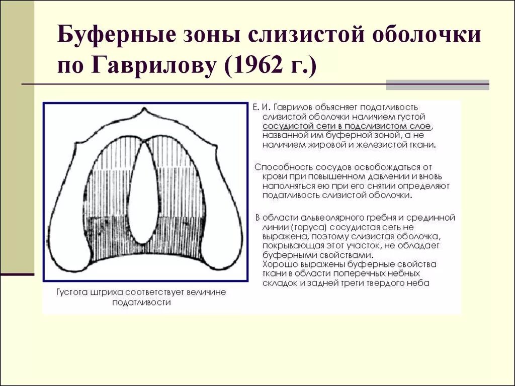 Люнд слизистой оболочки. Классификация податливости слизистой оболочки по Гаврилову. Альвеолярный гребень альвеолярного отростка. Теория буферных зон по Гаврилову. Зоны податливости слизистой оболочки.